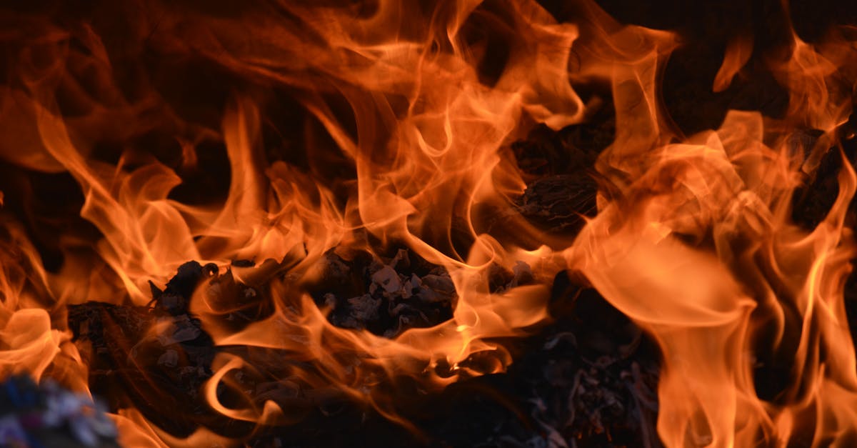 découvrez l'univers fascinant des flammes, leur symbolisme, leur utilisation dans l'art et la culture, ainsi que leur impact sur notre vie quotidienne. plongez dans le monde des couleurs et des formes émanant du feu.