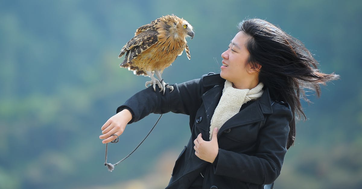 découvrez l'univers fascinant de buffy, la célèbre chasseuse de vampires. plongez dans cette série culte alliant action, drame et humour, où l'amitié et le courage affrontent les forces des ténèbres. une aventure incontournable pour les fans de fantastique!