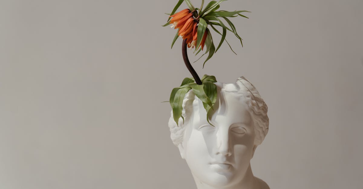 découvrez notre sélection unique de décorations pour le jardin, alliant esthétique et fonctionnalité. transformez votre espace extérieur en un havre de paix avec des éléments décoratifs, des accessoires pratiques et des inspirations pour tous les styles.