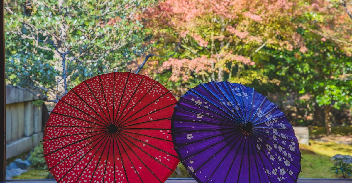 découvrez notre sélection unique de décorations pour jardin, alliant élégance et charme naturel. transformez votre espace extérieur en un véritable havre de paix avec des accessoires inspirants et des éléments décoratifs qui sauront mettre en valeur votre jardin.