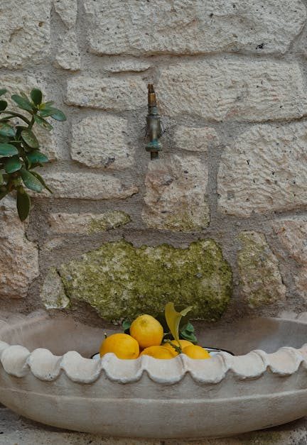 découvrez une vaste sélection de décorations de jardin pour sublimer votre espace extérieur. transformez votre jardin en un havre de paix avec des éléments uniques et inspirants, allant des sculptures aux lanternes, en passant par des accessoires tendance. aménagez un environnement convivial et accueillant grâce à nos idées déco pratiques et esthétiques.