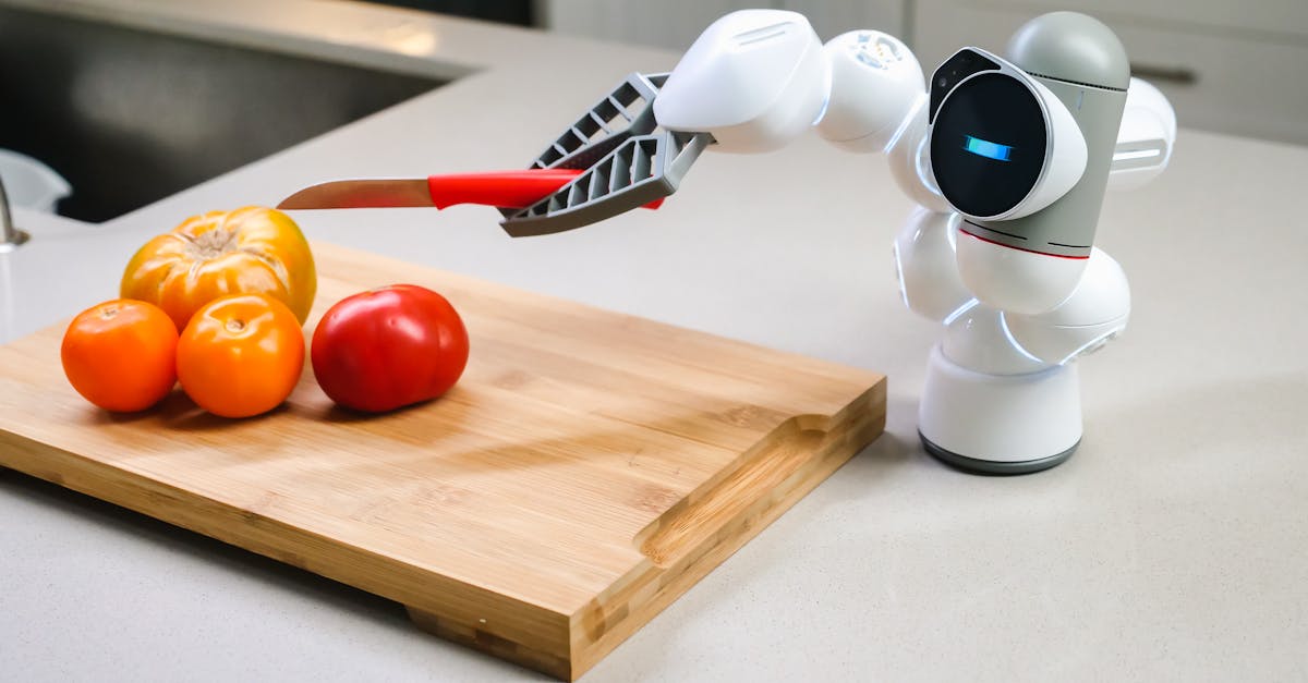 découvrez l'univers fascinant des robots humanoïdes, leurs applications innovantes dans la société moderne, et comment ils transforment notre quotidien. plongez dans la technologie qui rapproche l'homme de la machine.