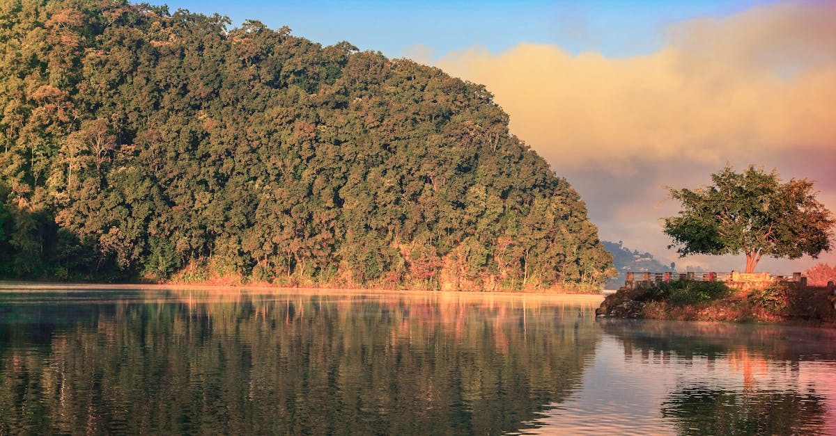 découvrez le concept intrigant des heures miroir : ces moments magiques où l'heure affichée sur votre horloge est symétrique, comme 11:11 ou 22:22. explorez leur signification mystique et leur impact sur votre vie quotidienne.
