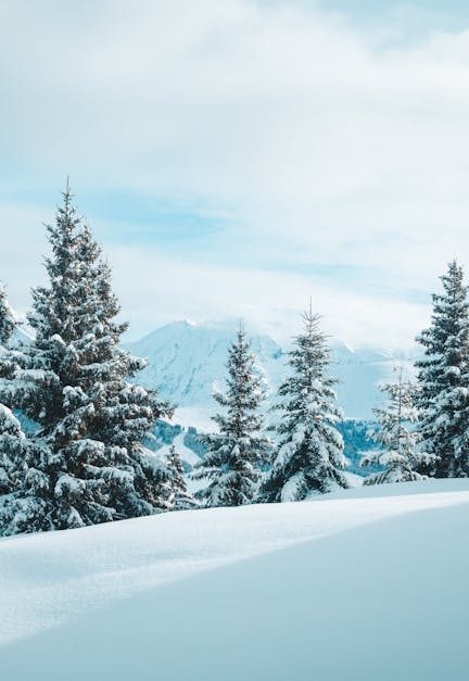 découvrez la saison 2 de votre série préférée, pleine de rebondissements captivants, de nouveaux personnages intrigants et d'intrigues surprenantes. plongez dans un univers fascinant où chaque épisode vous tiendra en haleine jusqu'à la dernière minute.