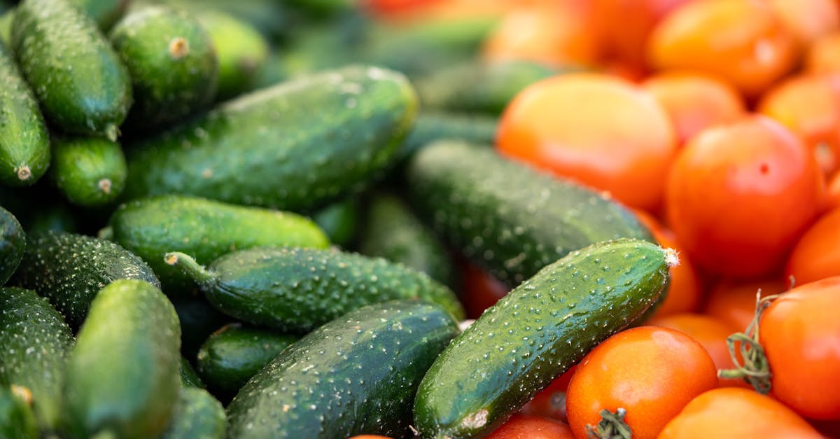 découvrez des idées d'activités amusantes et relaxantes à faire le dimanche, que ce soit en famille, entre amis ou en solo. explorez des loisirs créatifs, des sorties en plein air et des moments de détente pour profiter pleinement de votre week-end.