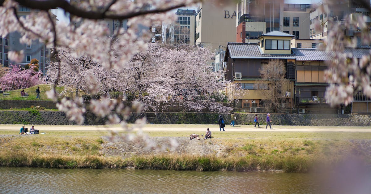 découvrez la vie et les défis des étudiants japonais, leurs parcours académiques, culturels et sociaux au pays du soleil levant. explorez leur passion pour l'éducation, les traditions et l'impact de la modernité sur leur quotidien.