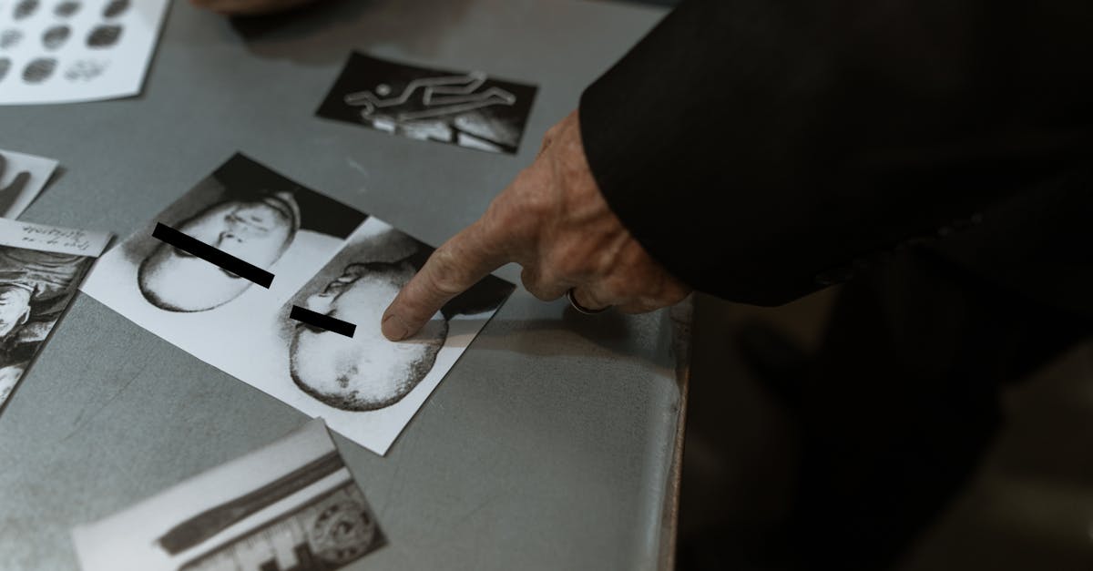 découvrez l'univers fascinant des mafias à travers l'histoire, les différentes organisations criminelles et leur impact sur la société. plongez dans les récits captivants de pouvoir, de trahison et d'intrigues, tout en explorant comment ces groupes ont façonné le paysage du crime organisé.