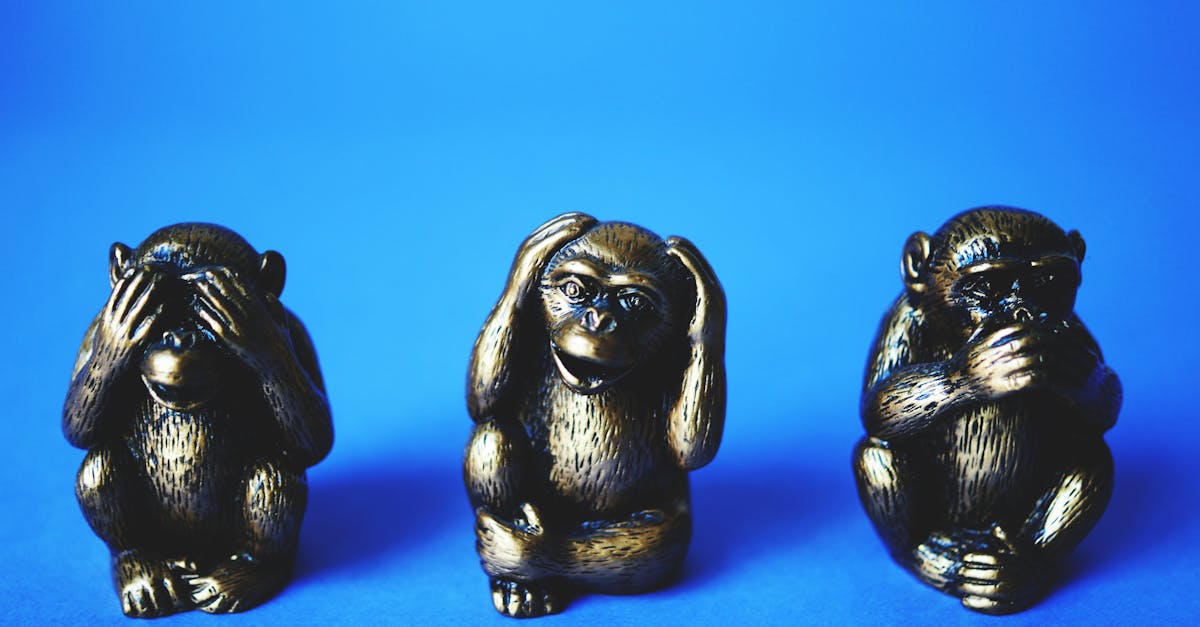 découvrez le fascinant monde des singes, leurs comportements, leurs habitats et leur importance dans l'écosystème. explorez les différentes espèces de primates et leur interaction avec l'environnement humain.