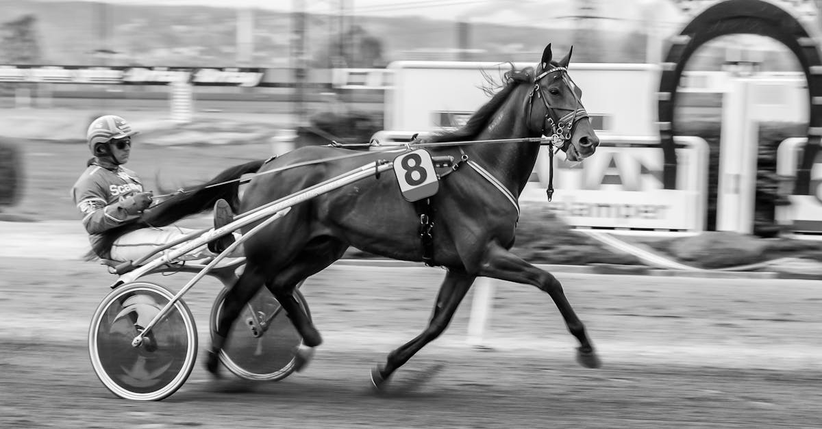 découvrez tout ce que vous devez savoir sur le concept du 'numéro 8'. un chiffre aux significations variées, symboles et applications dans la culture, les maths et la spiritualité. plongez dans l'univers fascinant du numéro 8!