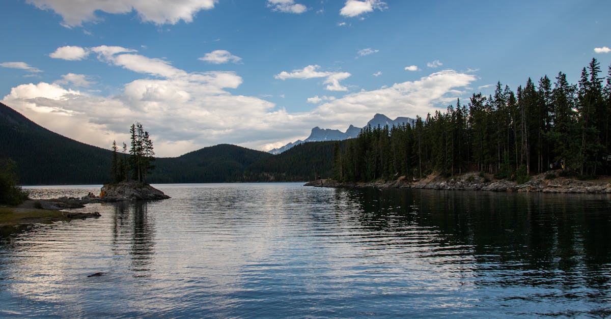 découvrez l'anthracite, une matière charbonnière reconnue pour sa haute teneur en carbone et son efficacité énergétique. explorez ses applications variées dans les domaines de l'industrie et du chauffage, ainsi que ses propriétés uniques qui en font un choix prisé pour de nombreux usages.