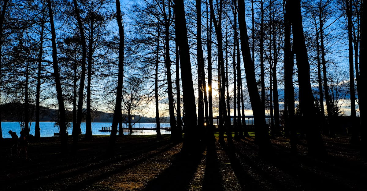 découvrez la beauté des lacs : des paysages enchanteurs, des activités nautiques variées et un environnement apaisant pour les amoureux de la nature.