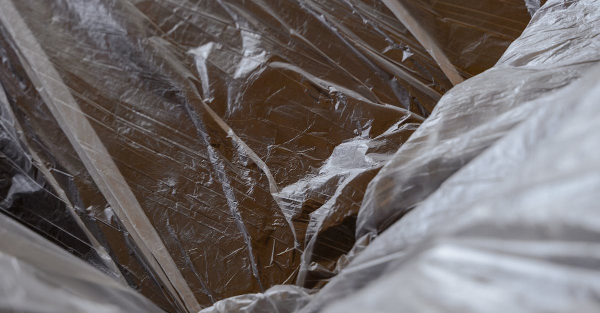 découvrez notre sélection incontournable de films à voir absolument ! plongez dans des histoires captivantes, des performances mémorables et des expériences cinématographiques qui marquent les esprits. ne manquez pas ces chefs-d'œuvre qui ont fait le tour du monde.