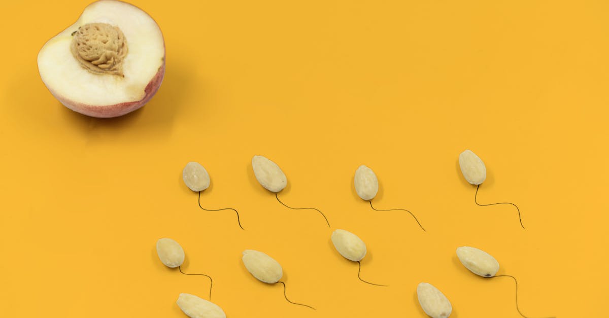 découvrez tout ce que vous devez savoir sur le sperme : sa composition, son rôle dans la reproduction, et des informations intéressantes sur la fertilité masculine.