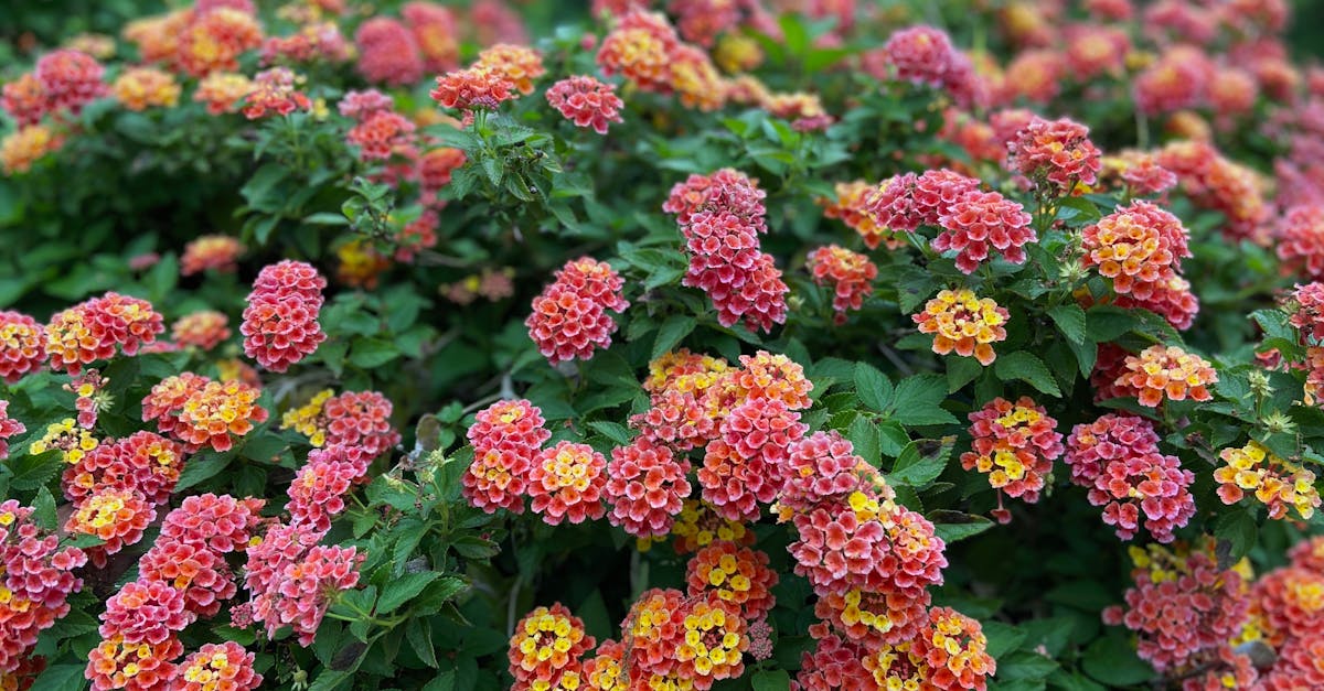 découvrez l'univers des synonymes et enrichissez votre vocabulaire avec des alternatives variées et précises pour chaque mot. améliorez votre expression écrite et orale grâce à notre guide complet sur les synonymes en français.