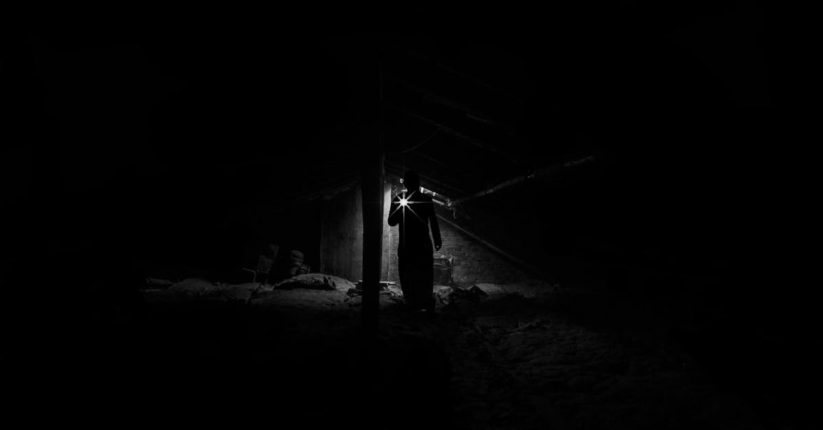 plongez dans l'univers terrifiant de l'horreur, où frissons et suspense se mêlent pour créer des expériences mémorables. explorez des récits captivants, des films de peur et des histoires sombres qui réveillent vos pires cauchemars. faites face à l'inconnu et laissez la peur vous saisir.