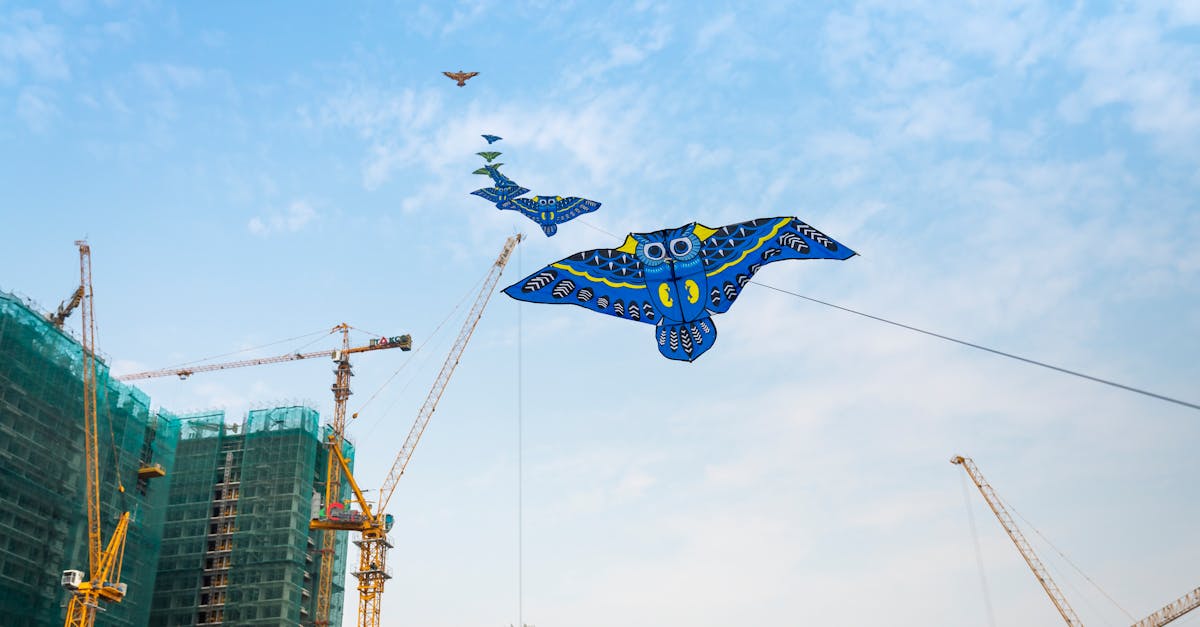 découvrez l'univers fascinant des hiboux, ces oiseaux nocturnes mystérieux. apprenez-en plus sur leurs caractéristiques, leurs habitats et leur rôle dans l'écosystème. explorez des faits étonnants et des anecdotes sur ces créatures fascinantes.