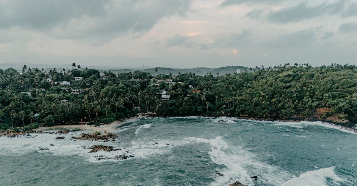 découvrez les meilleurs mods pour les sims 4 et améliorez votre expérience de jeu ! personnalisez vos sims, débloquez de nouvelles fonctionnalités et enrichissez vos scénarios grâce à une variété de contenus créés par la communauté. explorez notre sélection et transformez votre univers sims dès aujourd'hui !