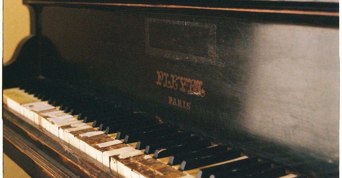 découvrez l'univers varié des musiciens français, allant des classiques aux modernes, et plongez dans leurs créations musicales qui font vibrer le cœur de la culture française.