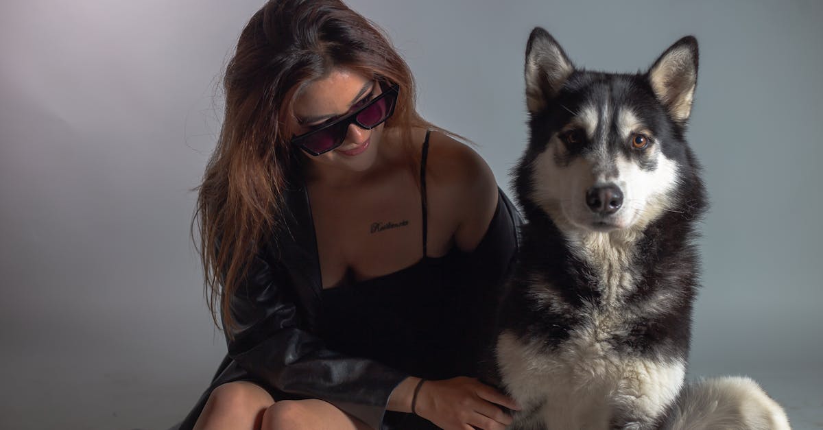 découvrez l'univers de james bond : l'agent secret emblématique du mi6, ses missions périlleuses, gadgets innovants et ennemis mythiques. plongez dans l'action, le suspense et l'élégance de la saga culte au cinéma !